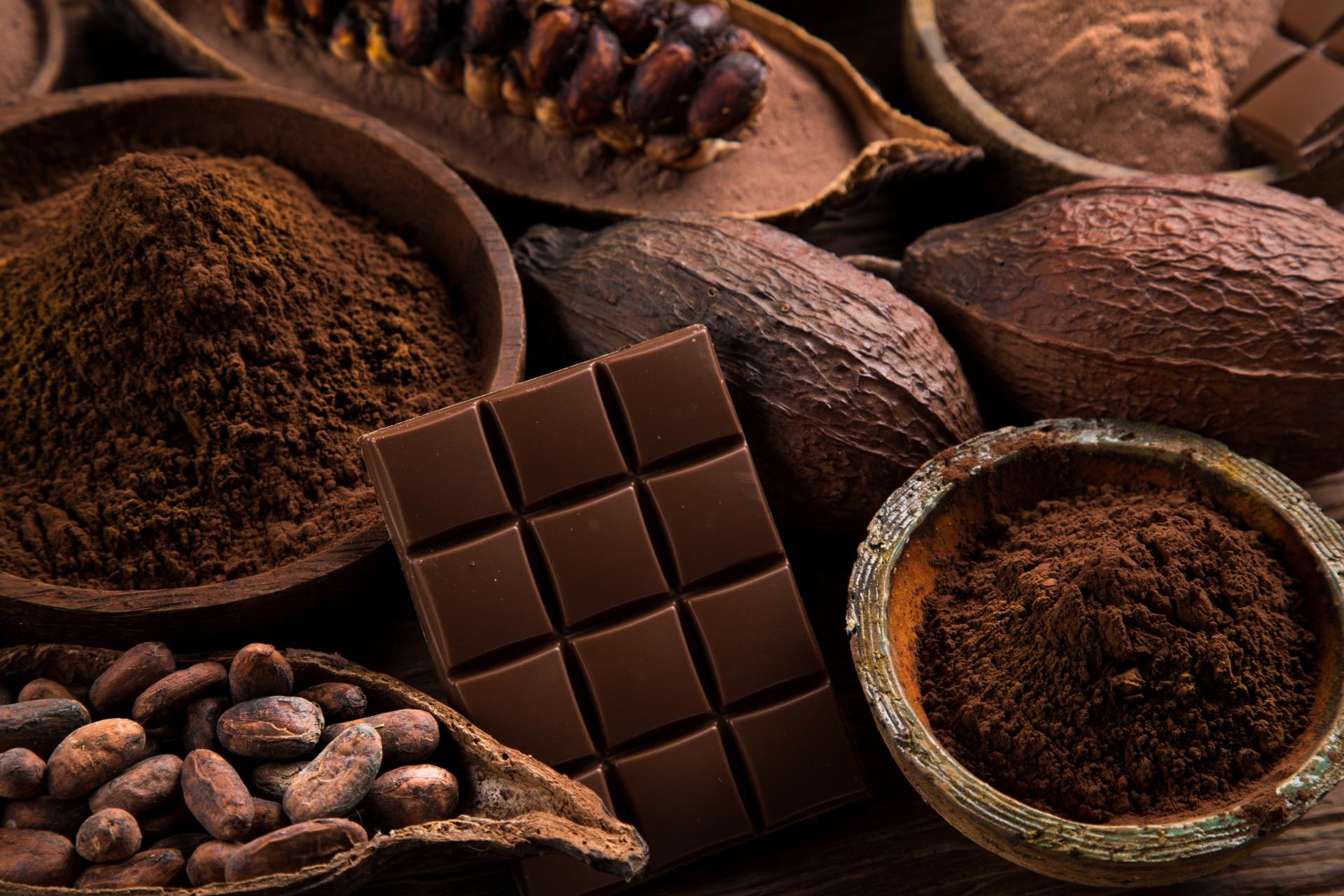 Chocolat gourmand : laissez-vous fondre de plaisir, image size:1920x1280