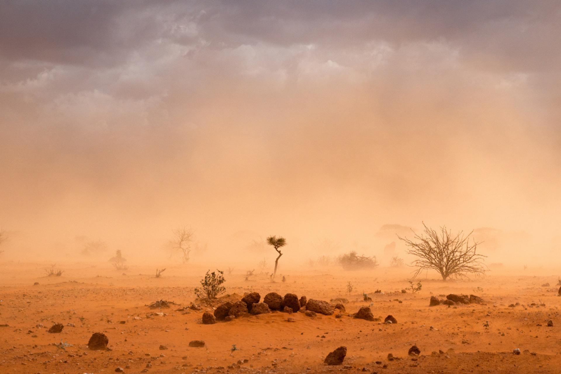 Alerte maximale : le climat extrême menace de faire basculer l’Afrique entière
