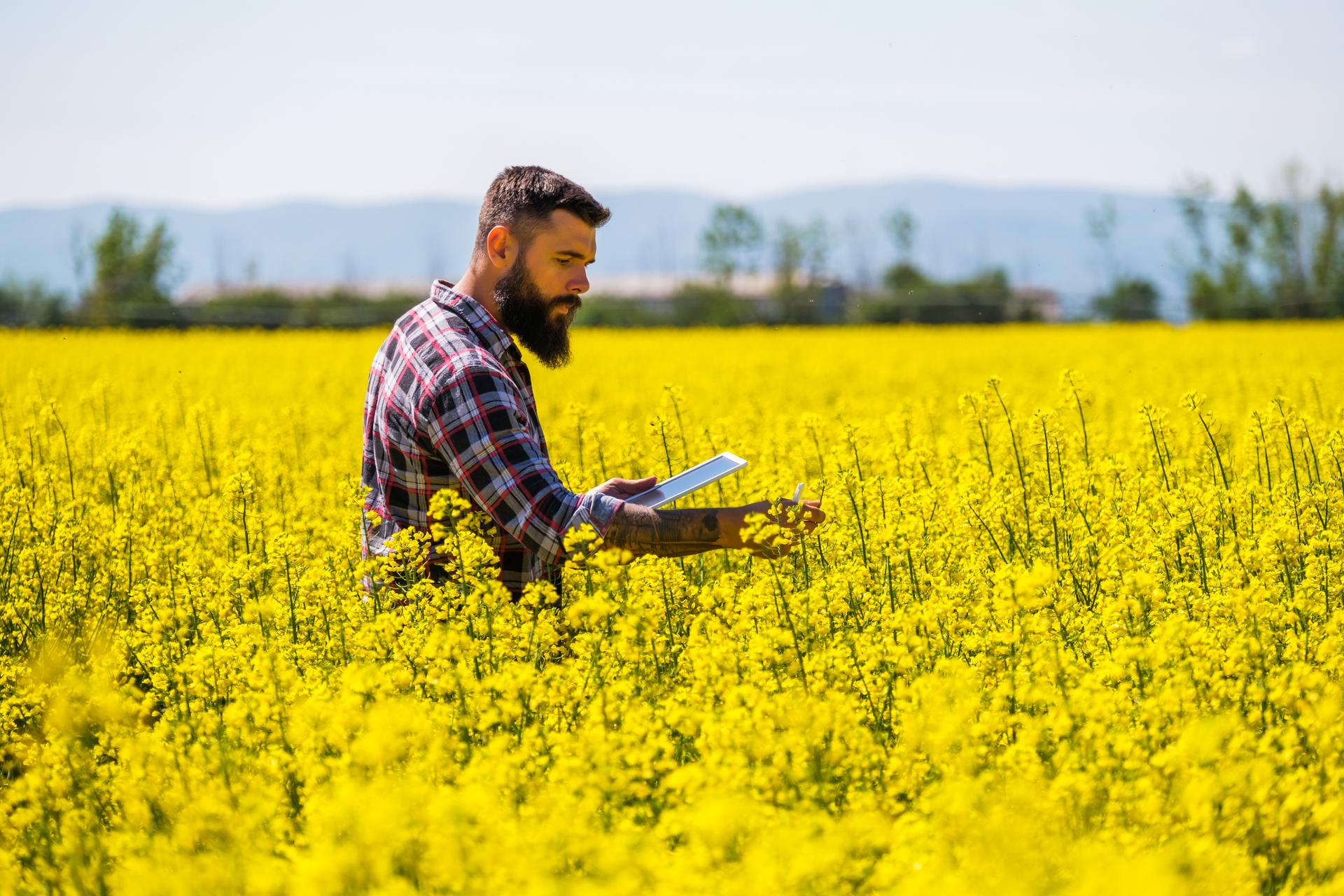 Vos arbres fruitiers fleurissent en février ? C'est une très mauvaise nouvelle selon les scientifiques