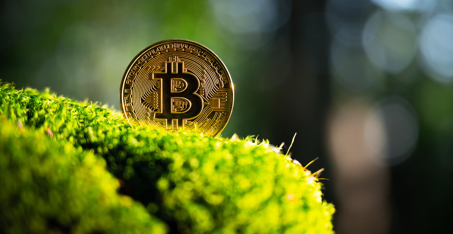 Pourquoi le Bitcoin est en train de devenir vert ?