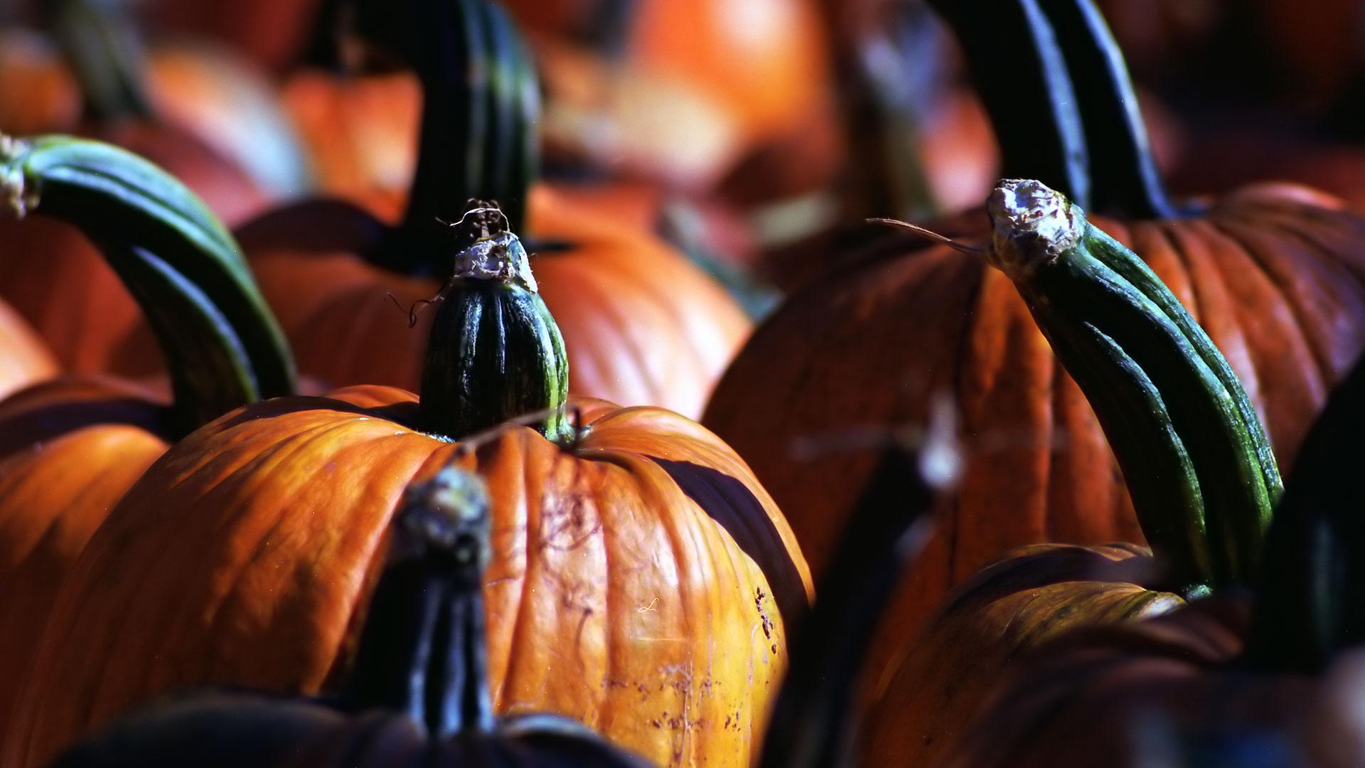 18 citrouilles d'Halloween monstrueusement originales, image size:1920x1080