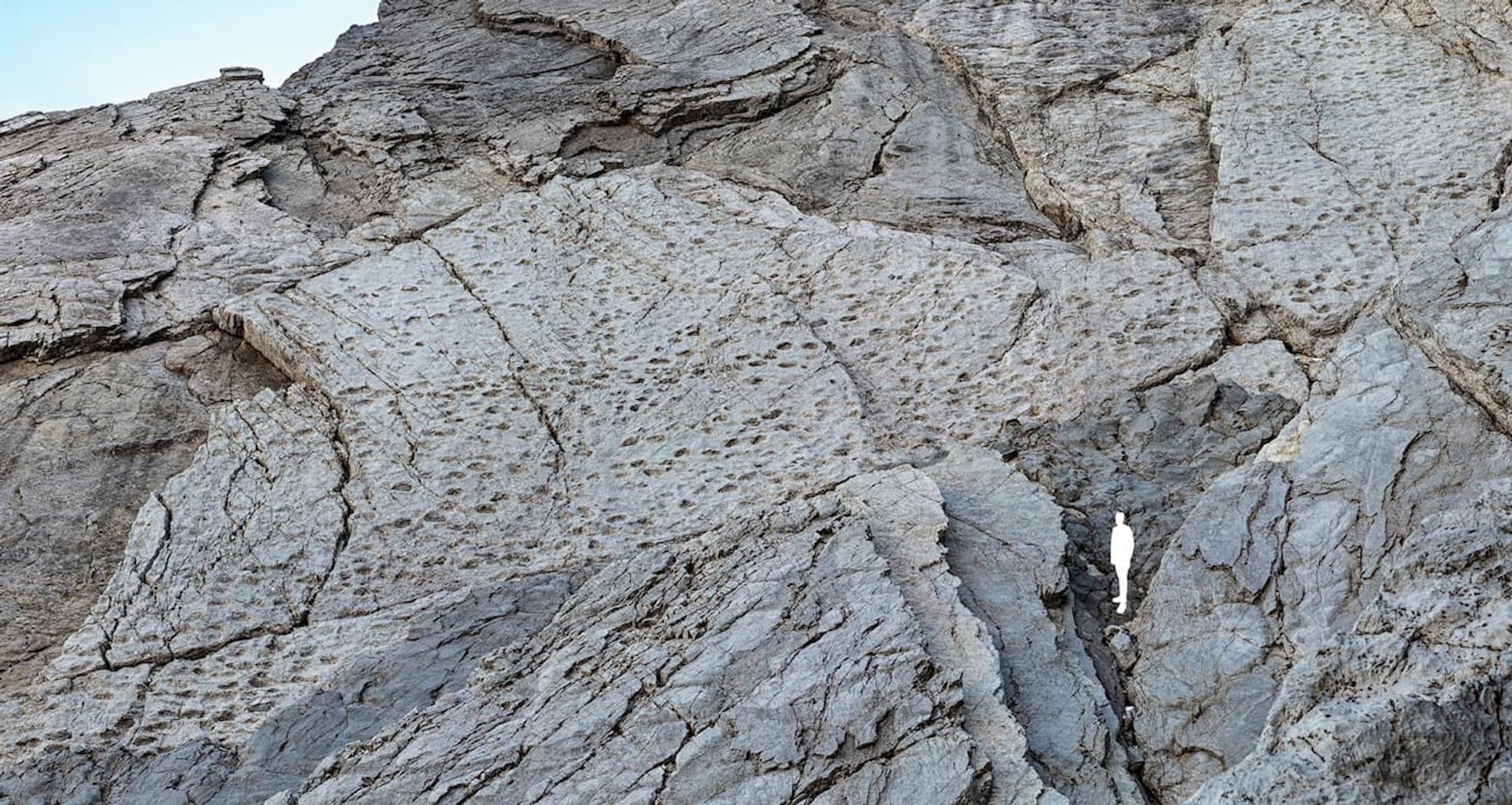 Des empreintes de dinosaures géantes découvertes dans les Alpes : une scène irréelle vieille de 200 millions d’années !