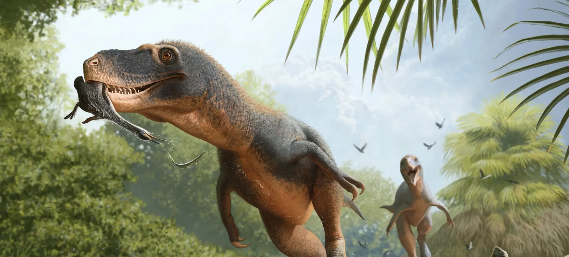 Ils ont retrouvé une crotte de dinosaure : une minuscule plume pourrait expliquer pourquoi certains oiseaux ont survécu