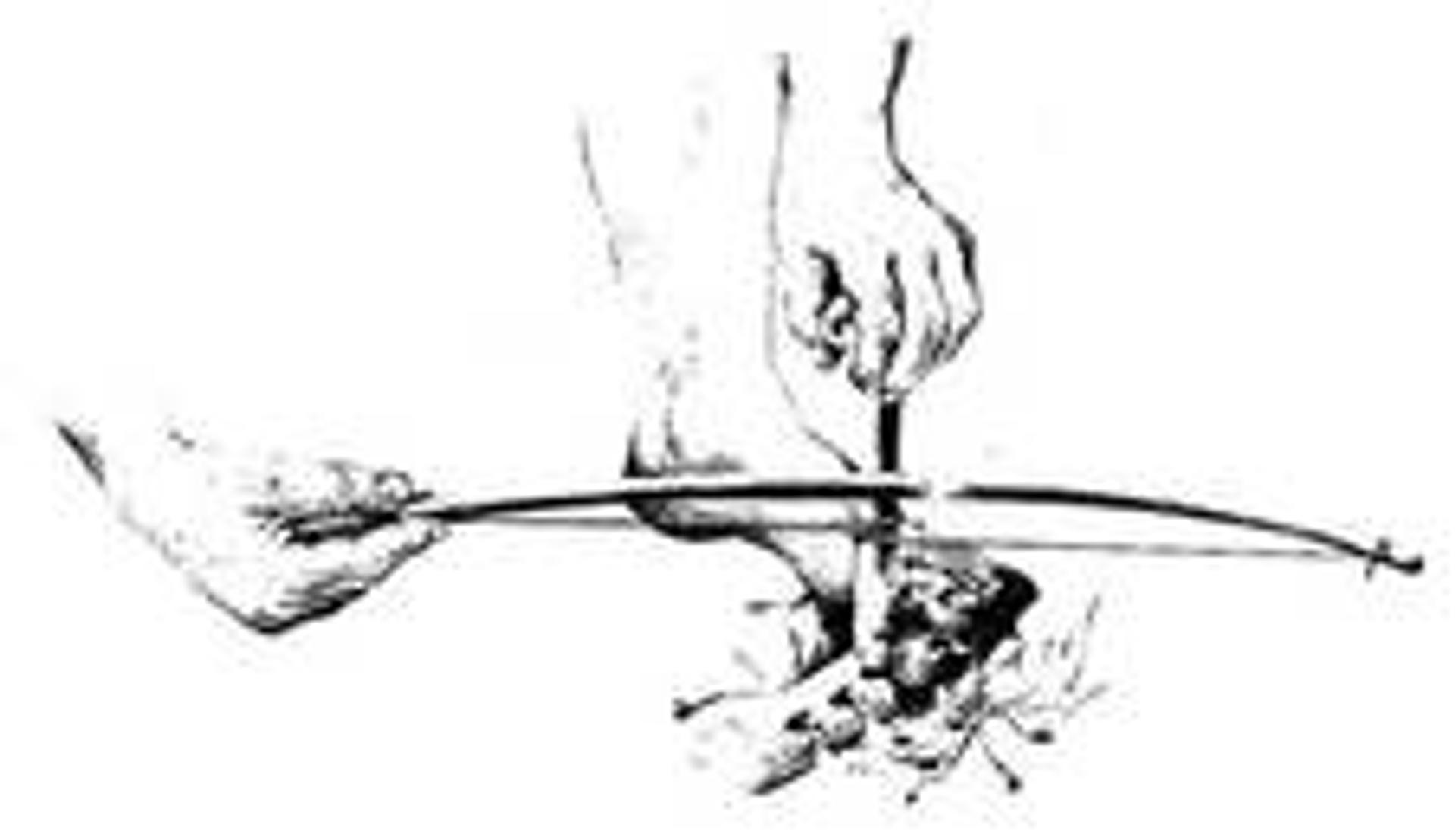 Fiche N° 2 comment faire du feu avec deux morceaux de bois — free download