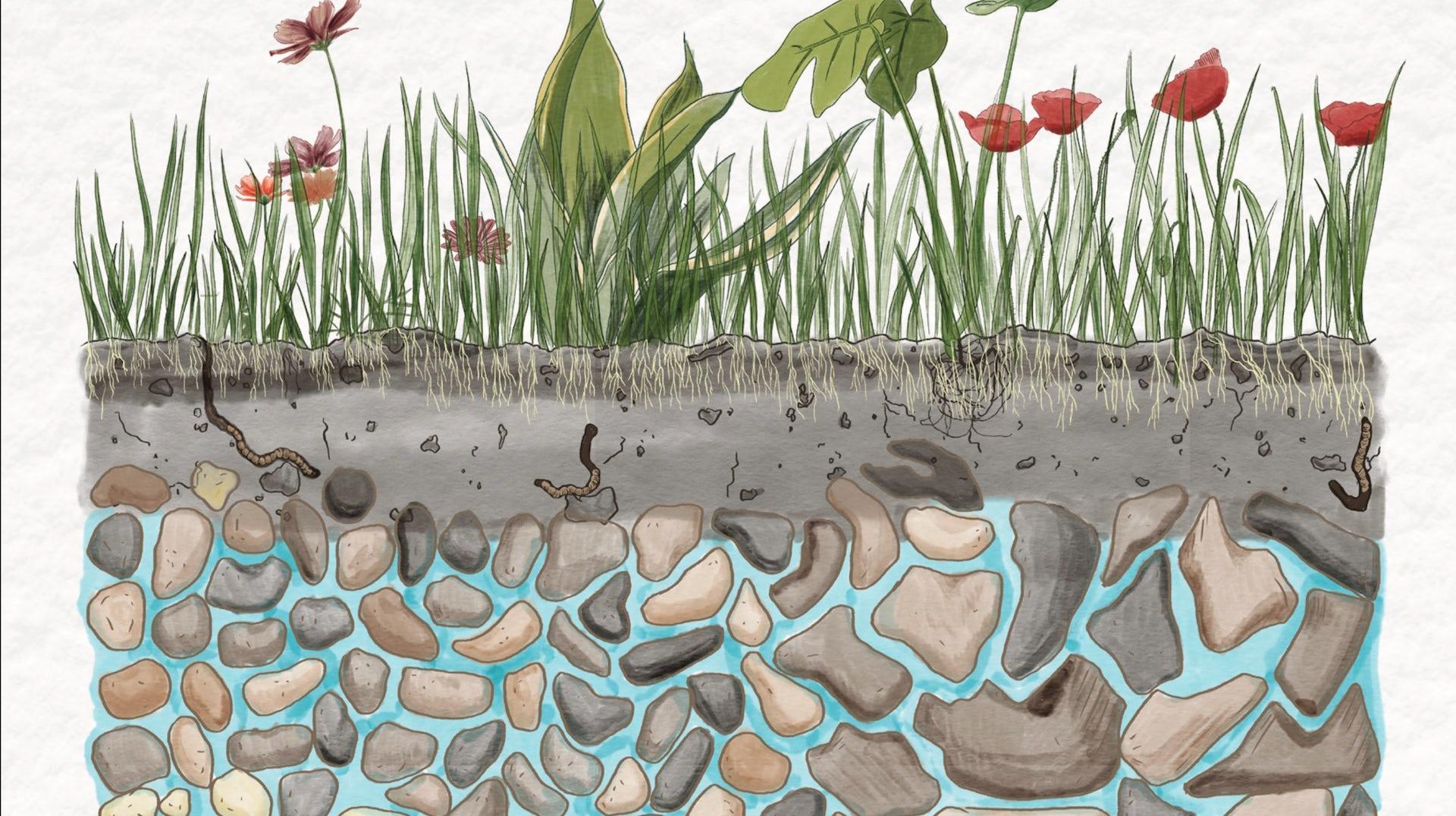 Comment surveiller le niveau des nappes phréatiques