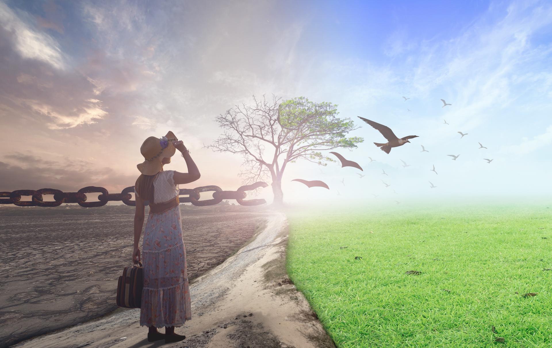 Les 5 bonnes nouvelles sur l'environnement qui redonnent de l'espoir