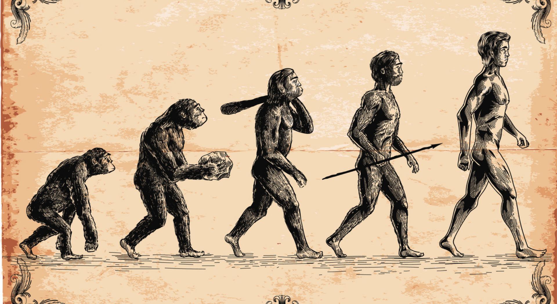 Les êtres humains continuent-ils vraiment d'évoluer ? Les scientifiques viennent de trouver un nouvel indice