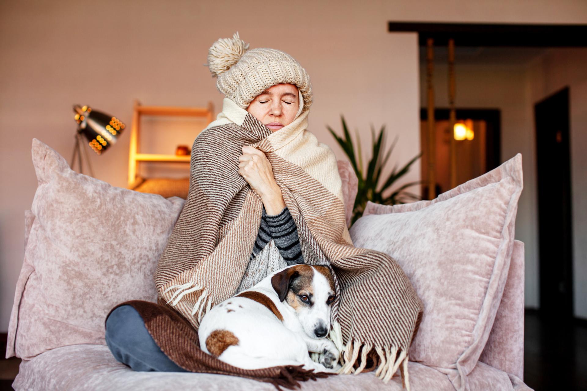 Bois, gaz, électricité : quel est le mode de chauffage le plus économique ?