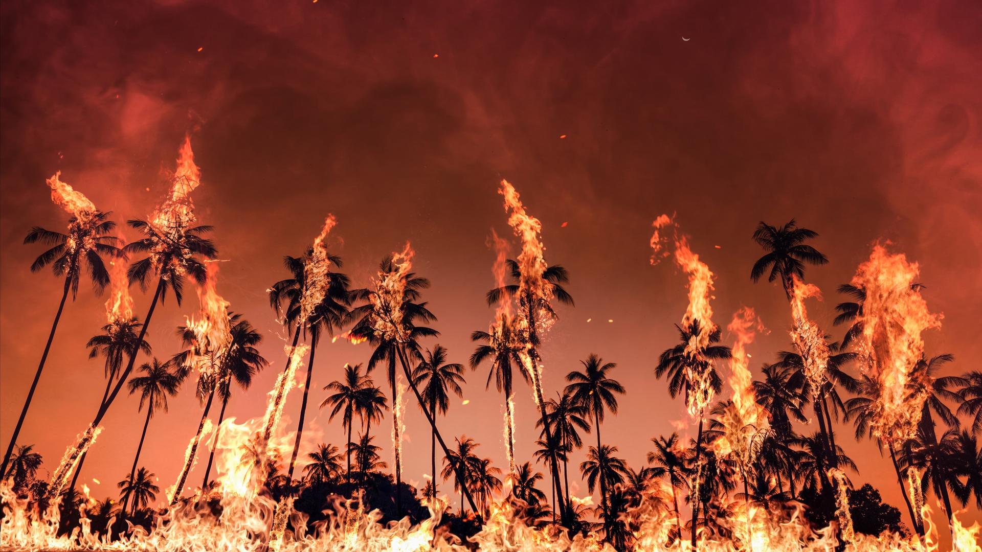 Ces 5 catastrophes météo ont fait de 2025 une année hors norme