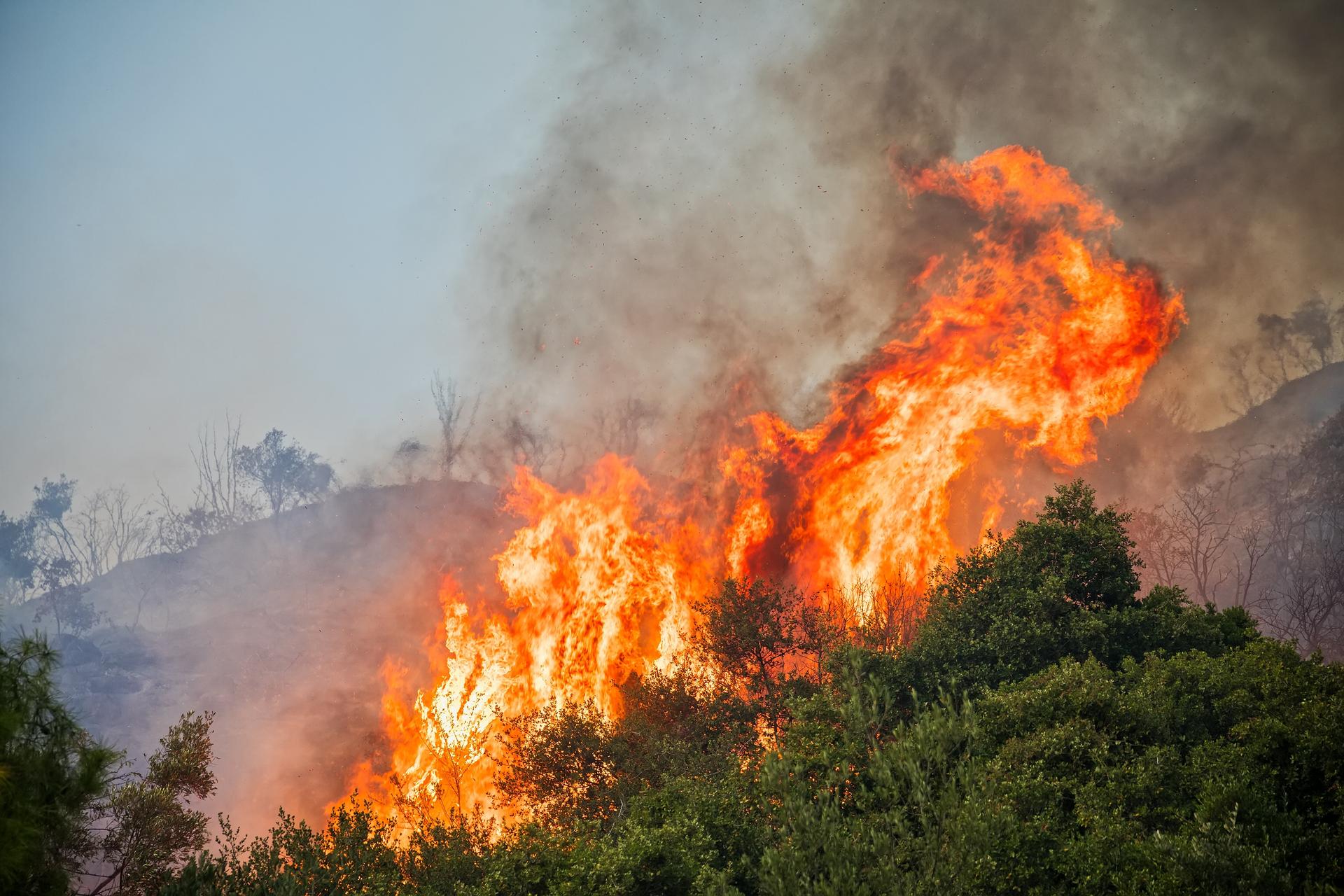 Ils n’ont presque aucune chance de fuir : les victimes oubliées de l’incendie de Fontainebleau