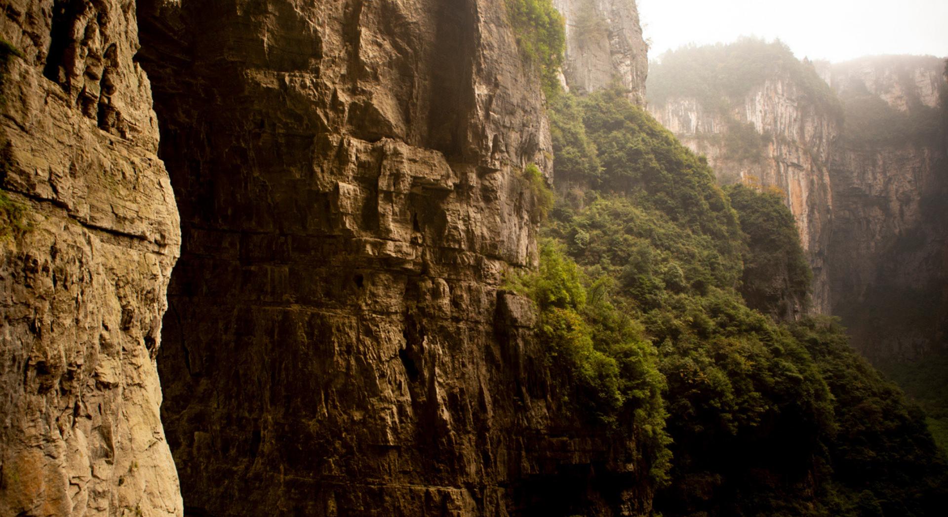 Voici la forêt cachée dans un gouffre chinois de 626 mètres de profondeur qui abrite des espèces rares
