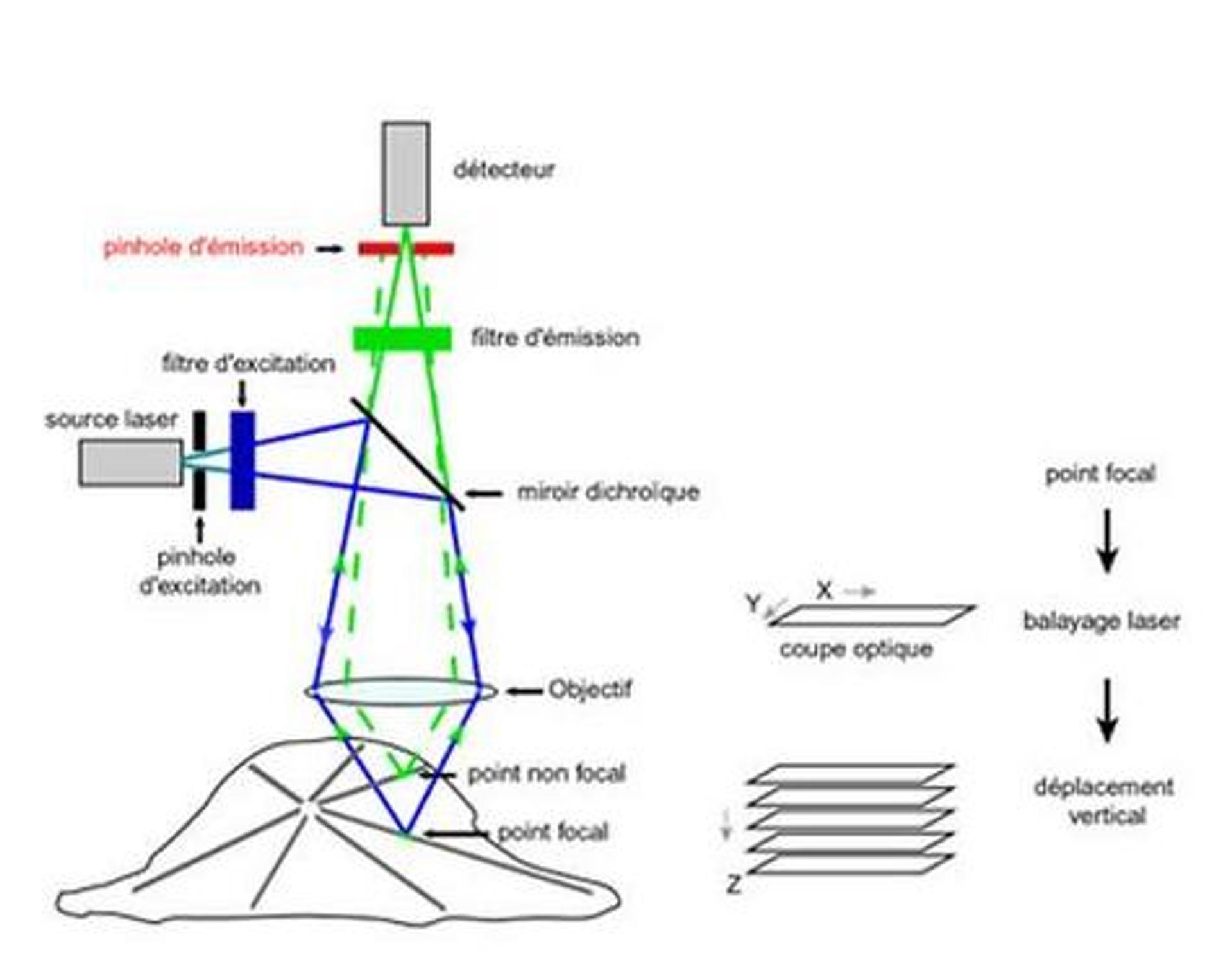 Définition | Spectroscopie Raman : qu'est-ce que c'est ? | Futura sciences, image size:1920x1496