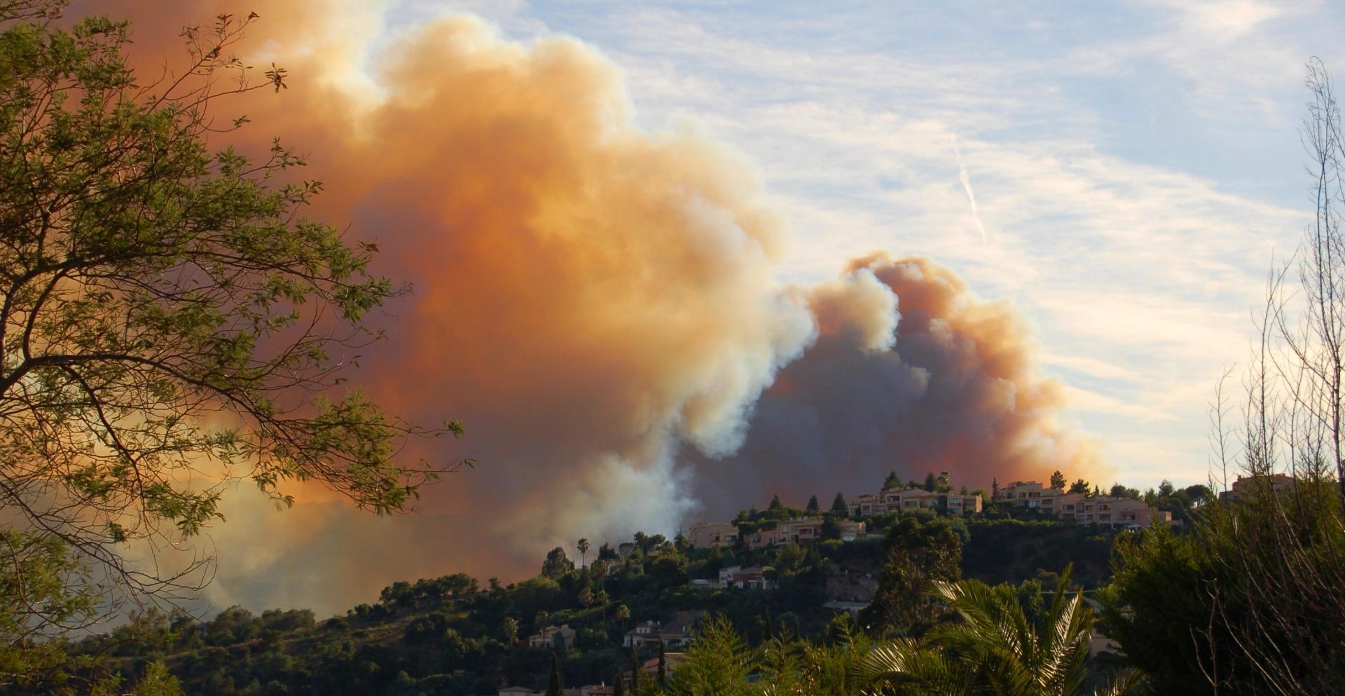 Plus de 1 000 hectares brûlés en un jour : le sud de la France entre dans un été sous haute tension