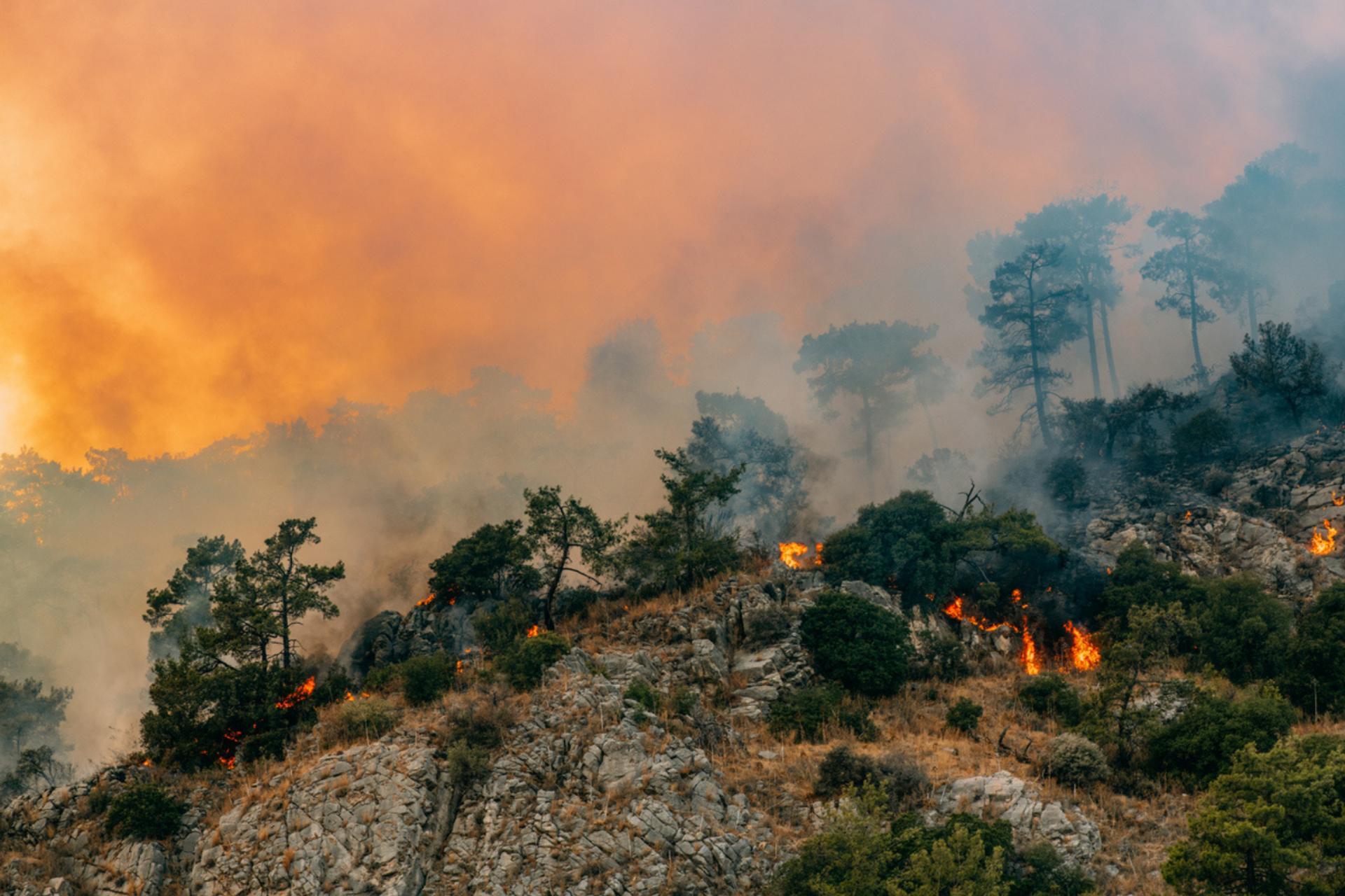 Les scientifiques préviennent : le réchauffement climatique pourrait s’aggraver plus vite que prévu