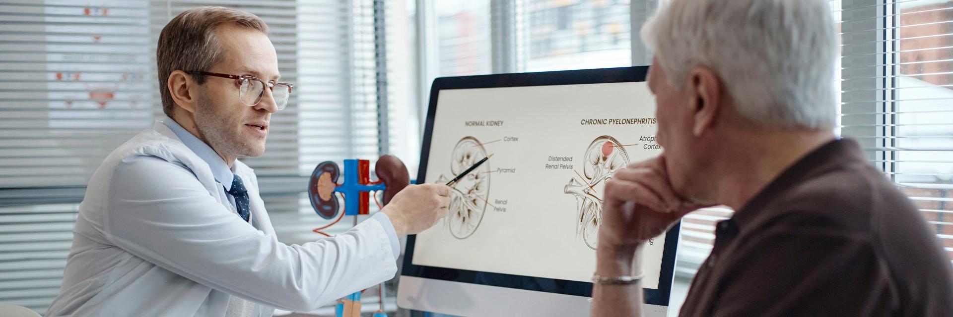 Reins et cerveau sont bien plus liés qu’on ne le pensait : ce que révèle la recherche