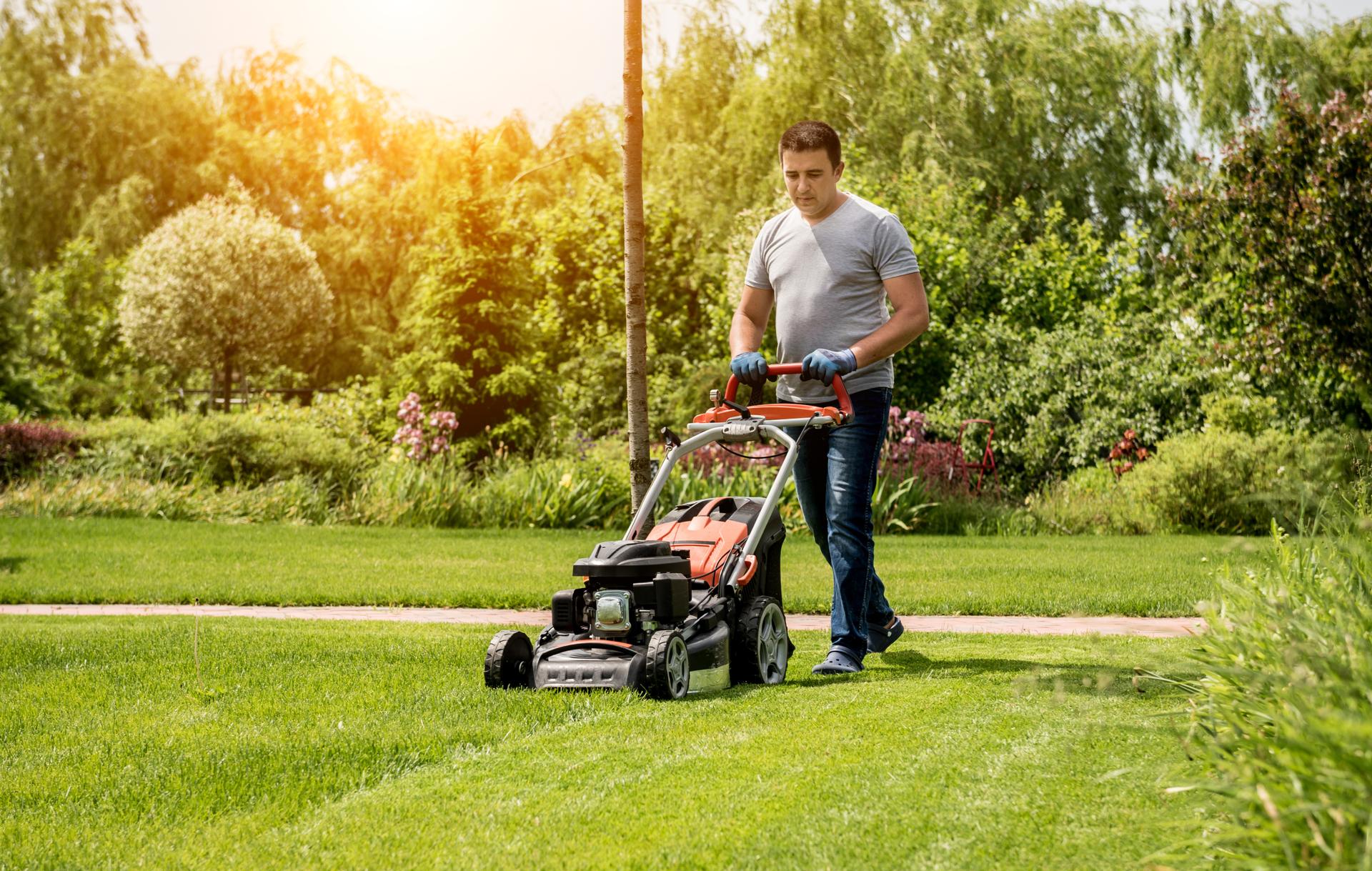 Quelle tondeuse choisir pour un terrain et une pelouse de 1000 m² — free download