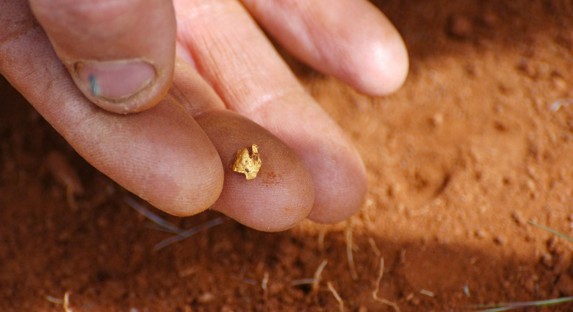Cet Australien pensait avoir trouvé une pépite d'or, il tenait en réalité un fragment plus vieux que le Système solaire