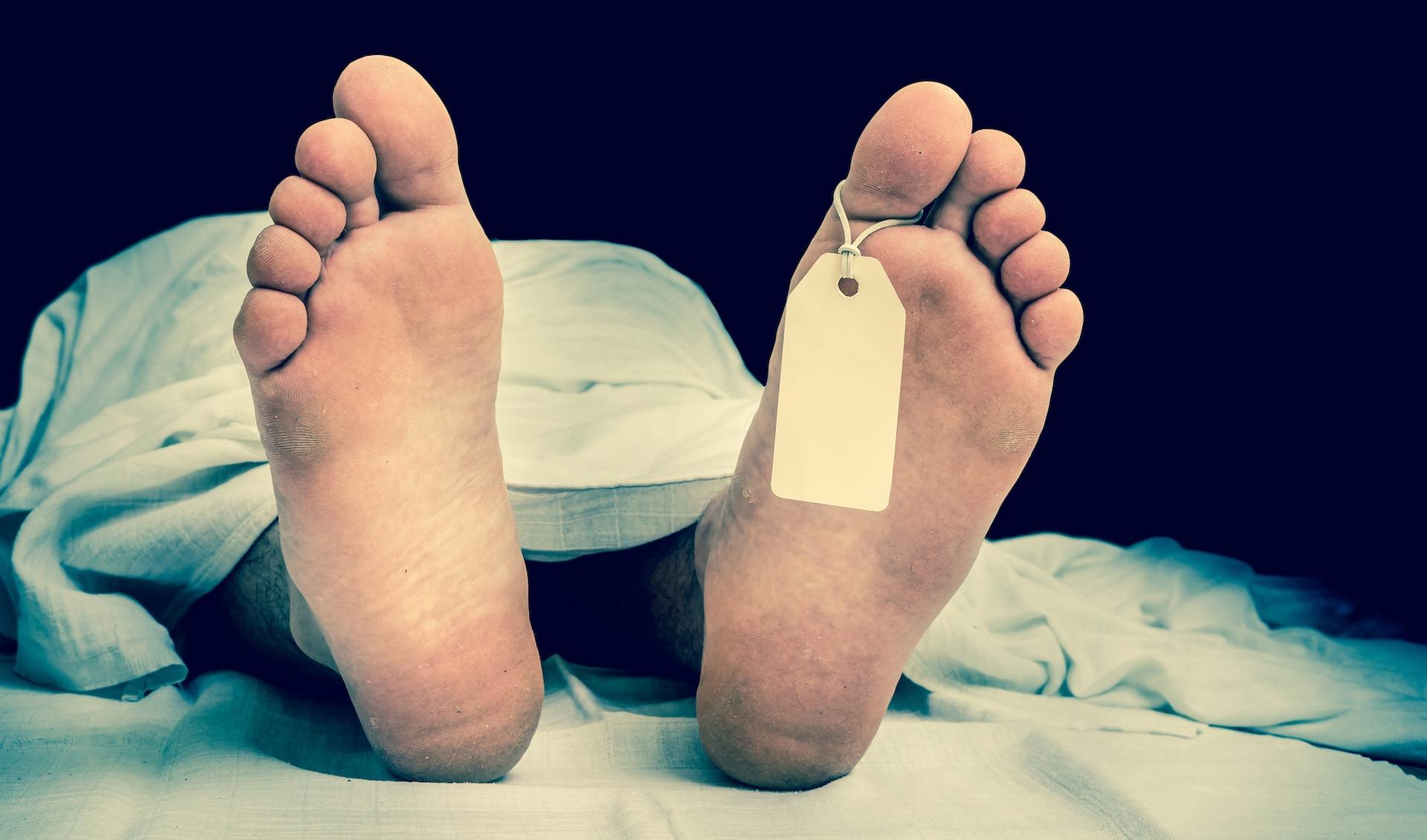 https://cdn8.futura-sciences.com/a1920/images/morgue.jpg
