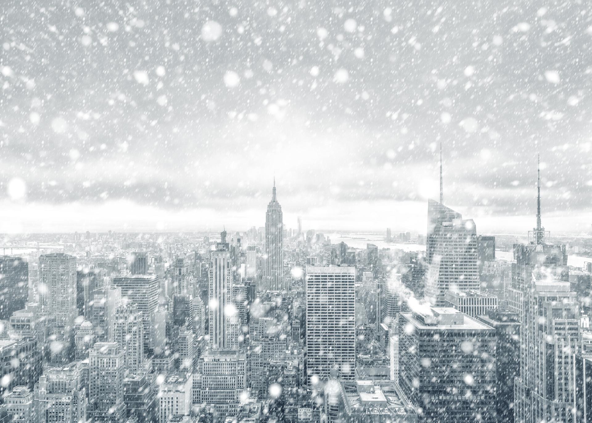 70 cm de neige à New York : une tempête historique paralyse la ville