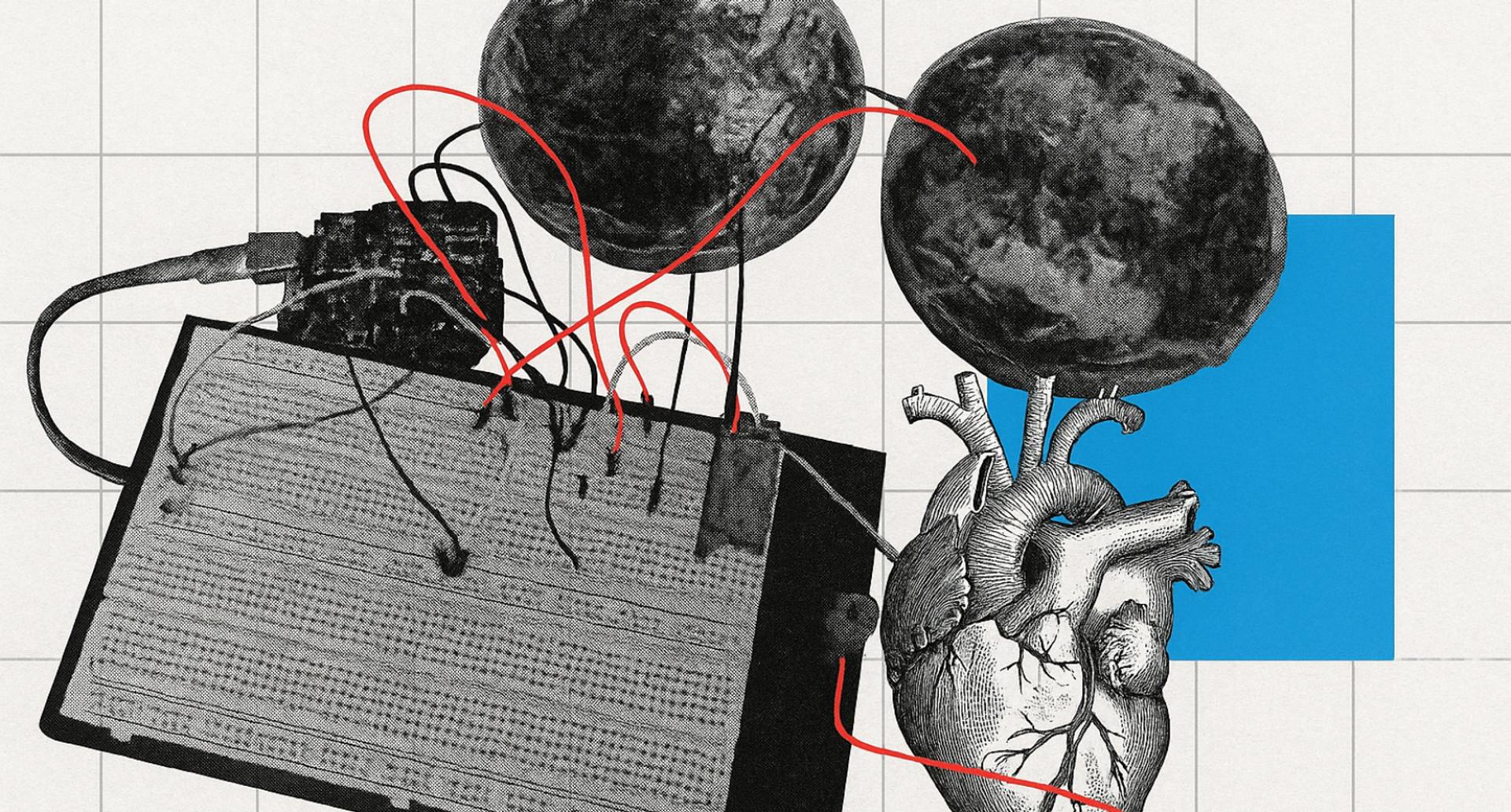 Ils ont créé un ordinateur biologique à base de shiitake et ce que ça implique est vertigineux