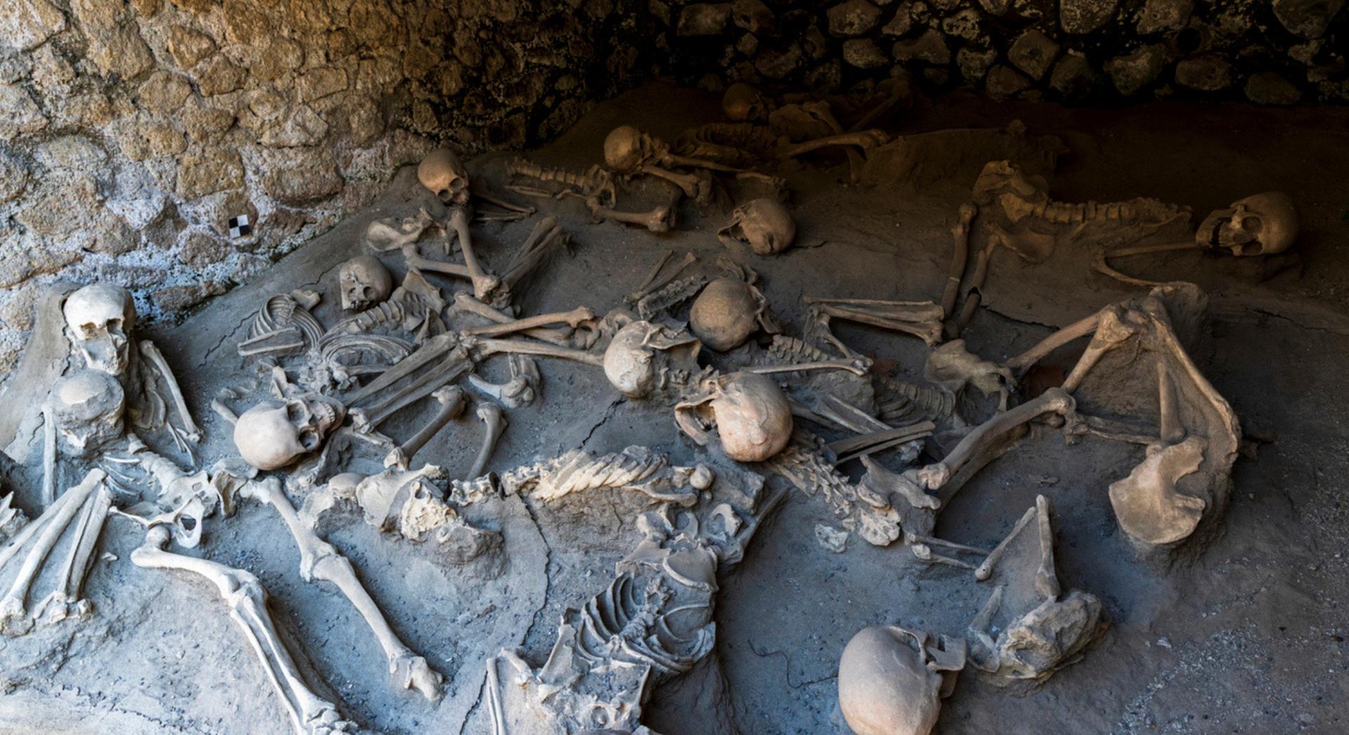 Les os de victimes du Vésuve révèlent ce que mangeaient vraiment les Romains il y a 2 000 ans