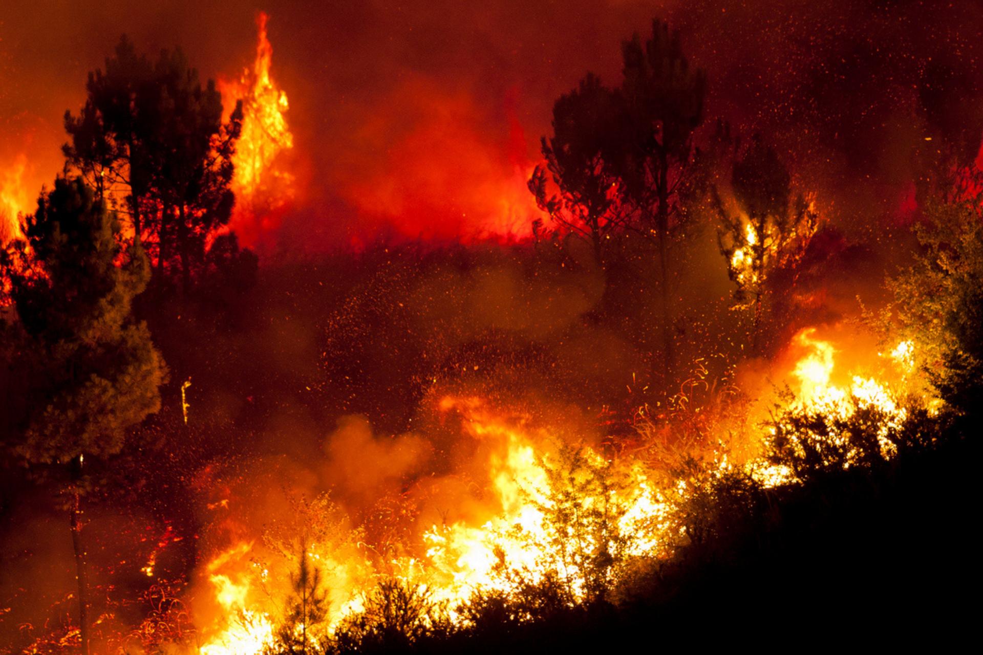 Réchauffement climatique : en 2080, votre région pourrait connaître un climat radicalement différent
