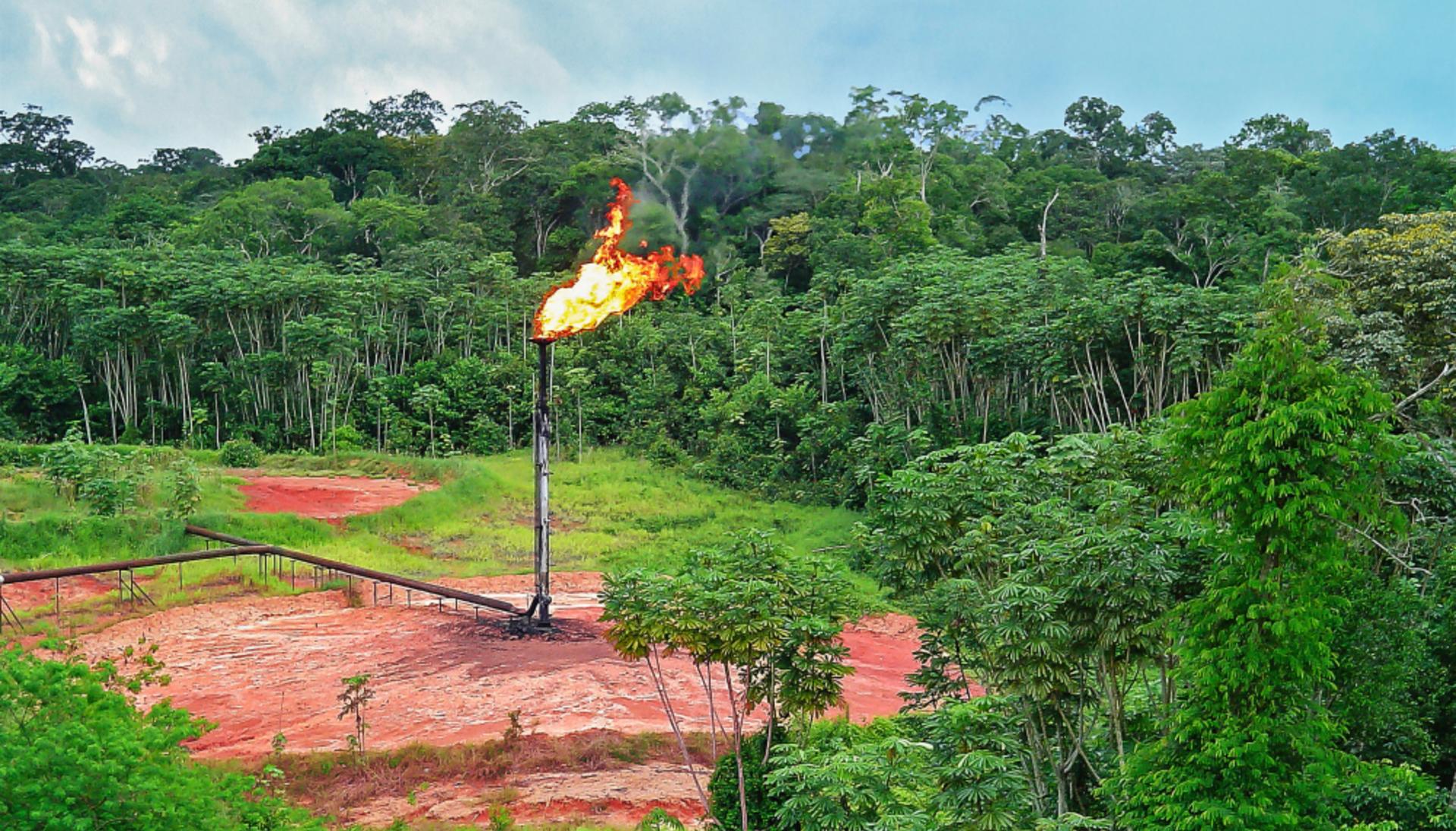 Brésil autorise forage pétrolier en Amazonie malgré la COP30