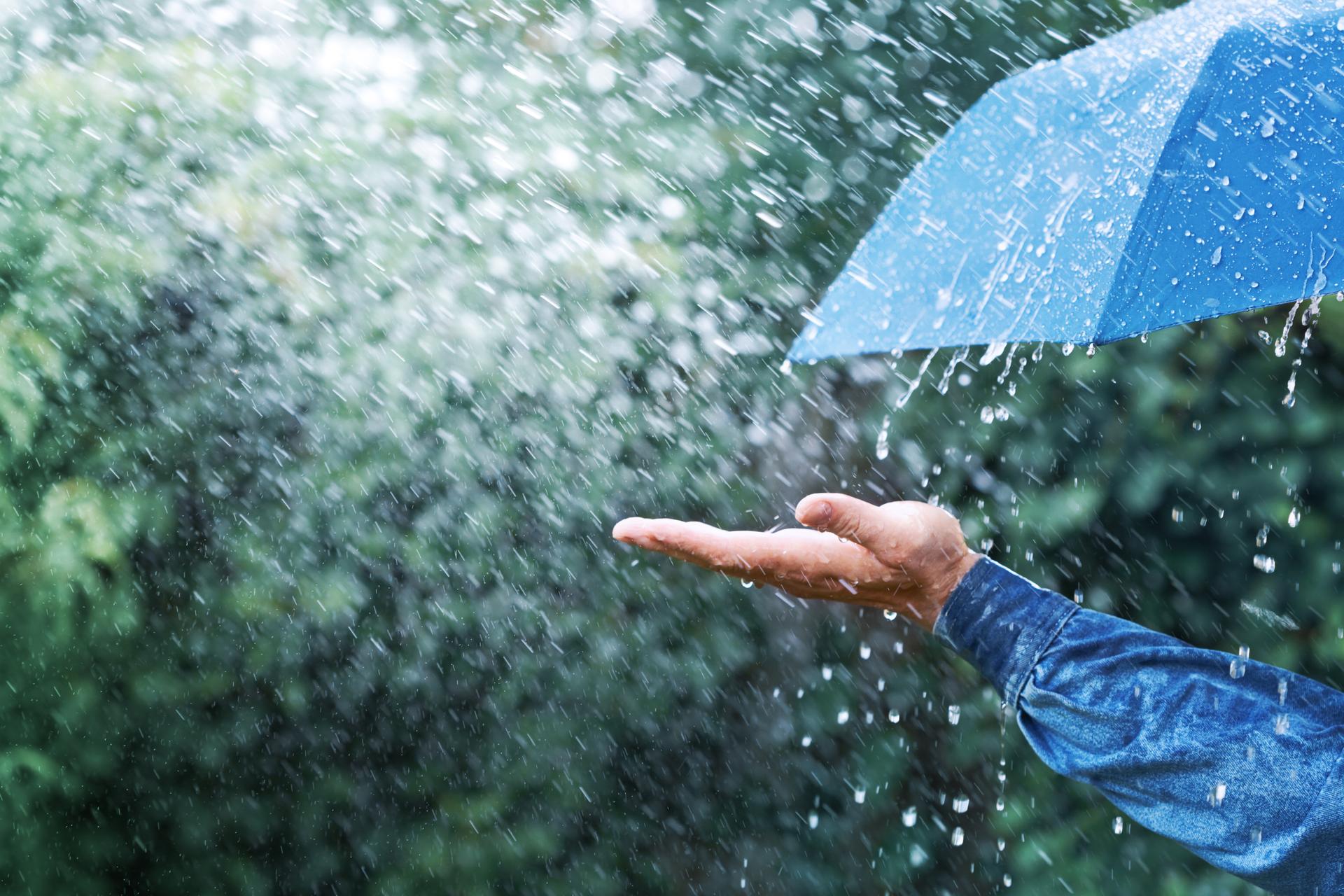 Pluies, douceur, froid : ce que révèlent les dernières simulations météo pour février