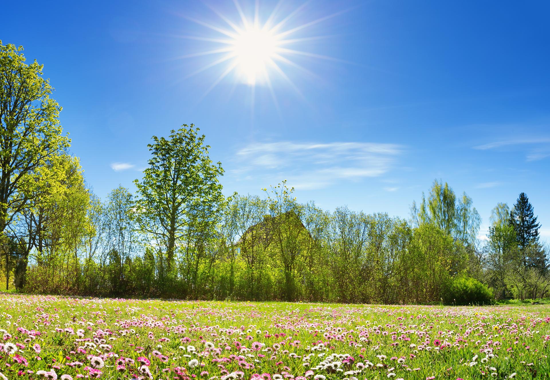 Printemps 2026 : après l’hiver « trop doux, trop mouillé »… voici ce qui pourrait nous tomber dessus