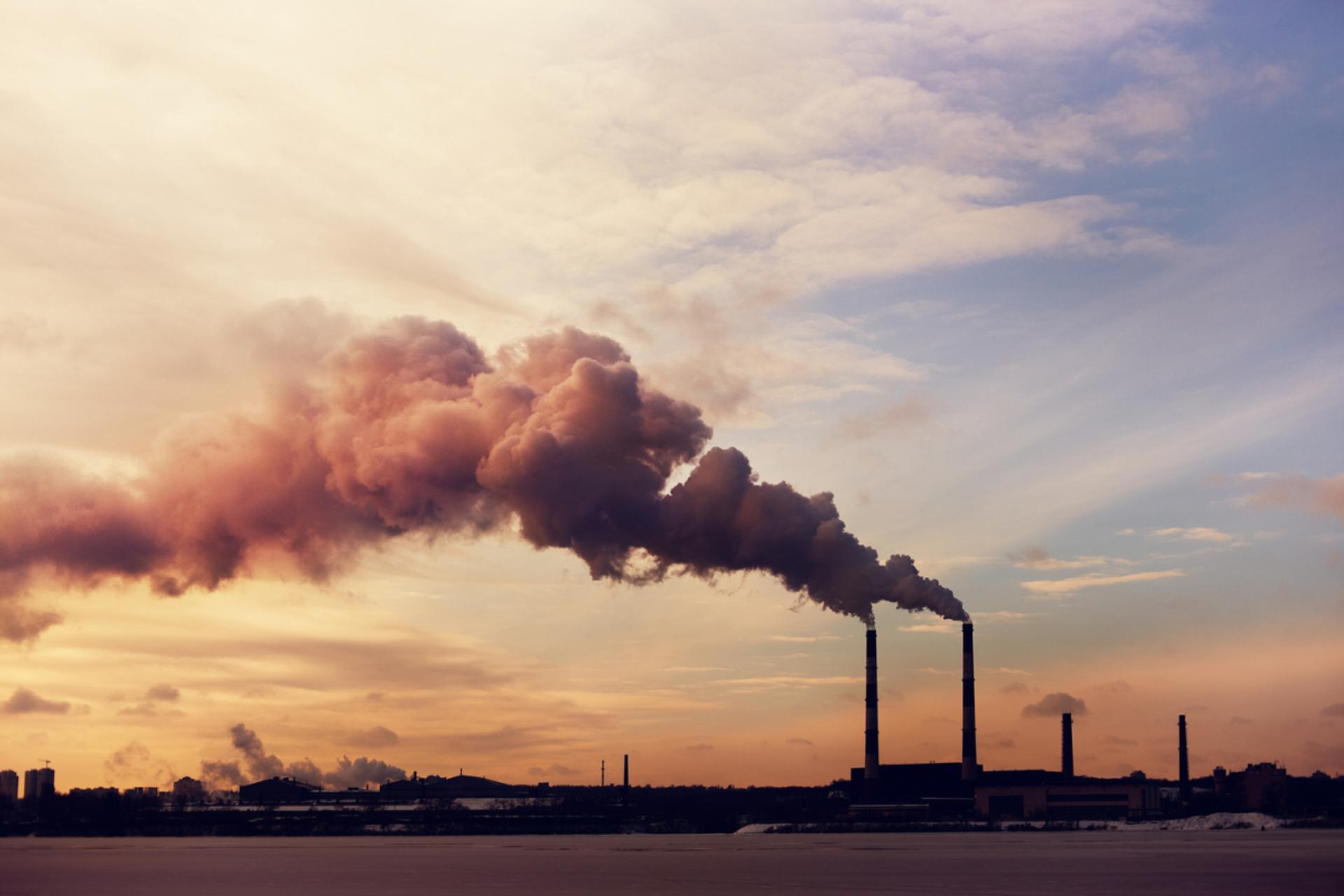 Réfrigération : cette nouvelle technologie pourrait remplacer les gaz nocifs actuels