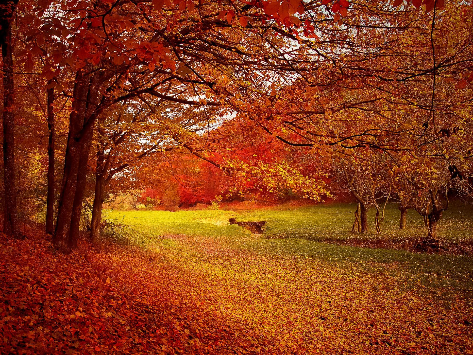 Paysage d'automne, image size:1920x1440