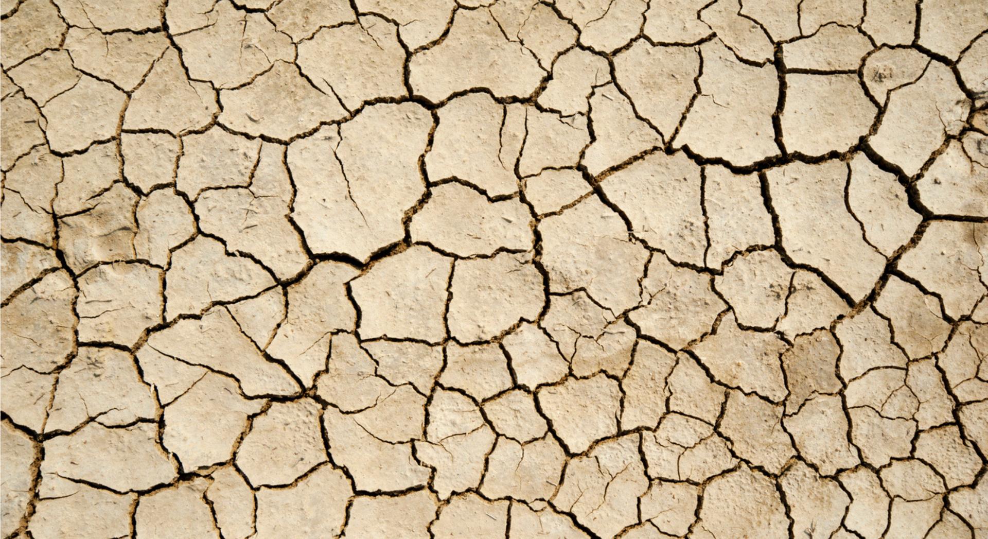 Voici ce qui empêche la sécheresse de frapper toute la planète en même temps