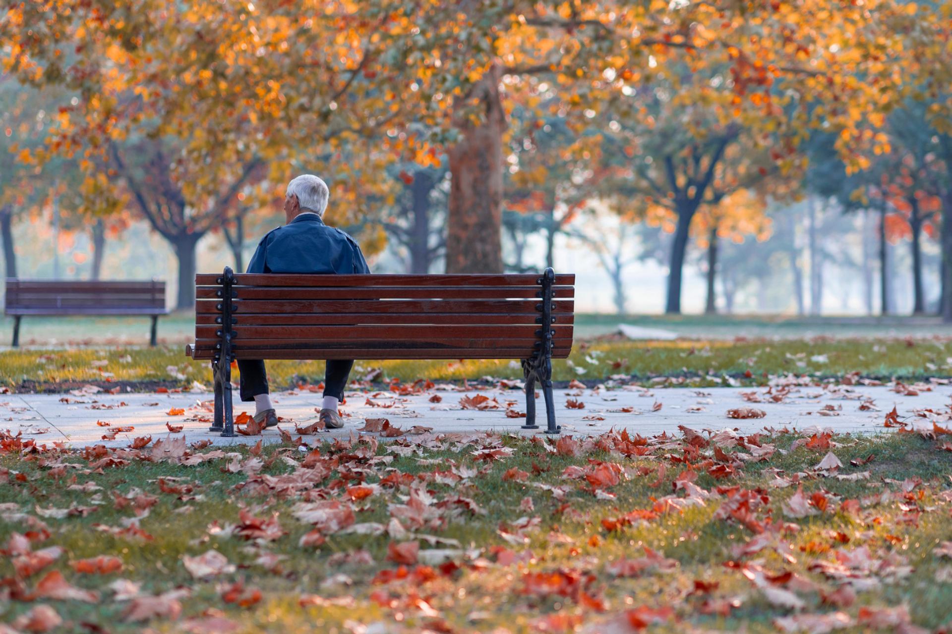 Isolement, perte de mémoire, déclin cognitif : cette approche protège vraiment votre cerveau