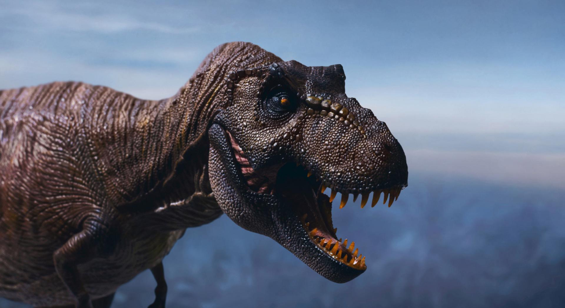 T. Rex Brain Power: Problem Solving and Tool Use Potential - News Directory 3