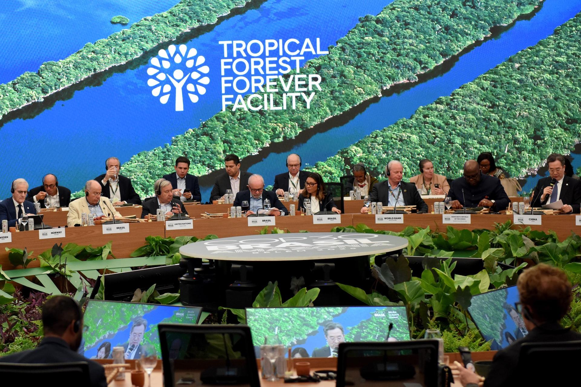 Un plan à 125 milliards pour sauver les forêts tropicales : la promesse ...