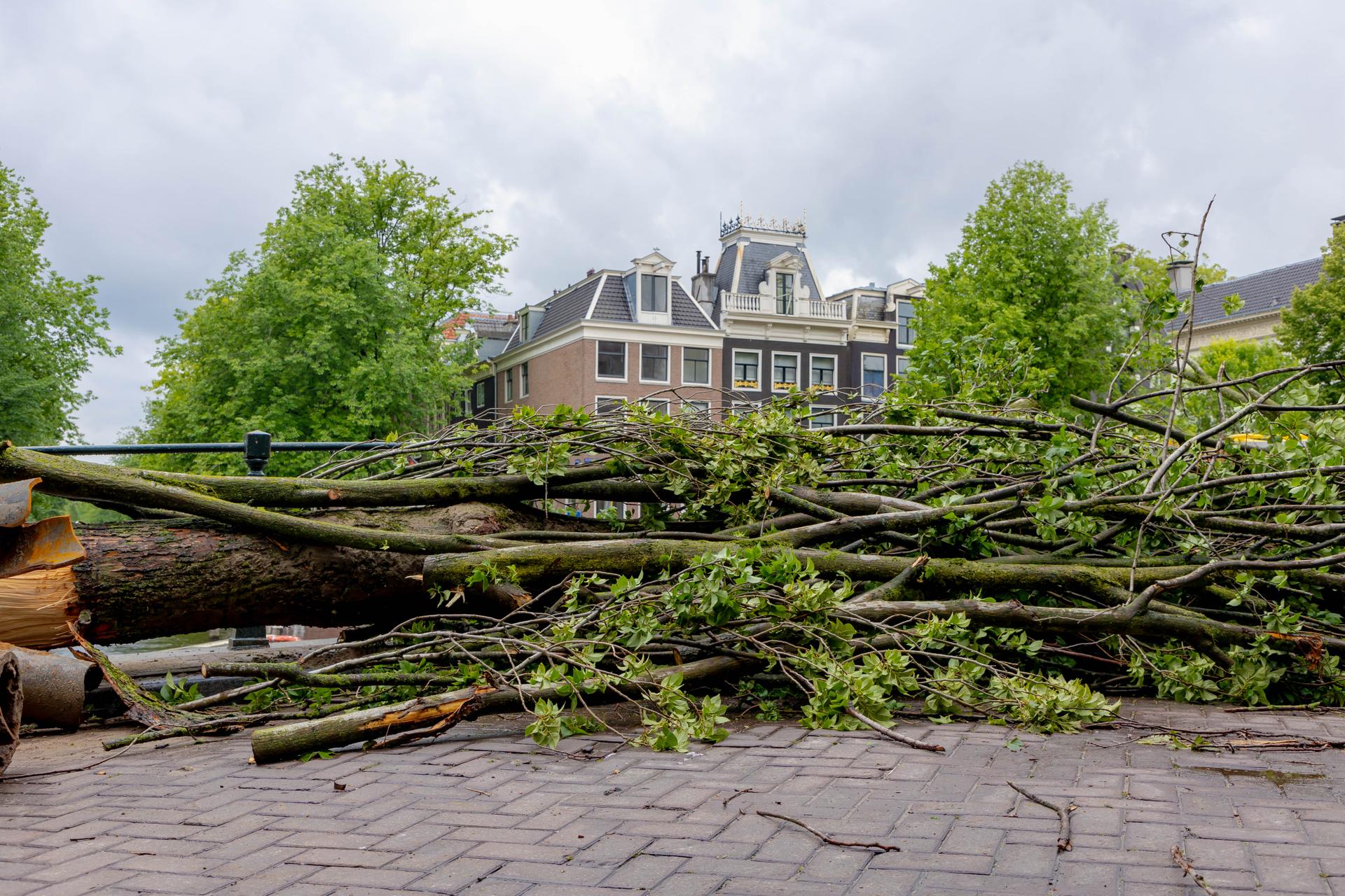 Tempête Nils : ce que les scientifiques viennent de découvrir change la lecture du phénomène
