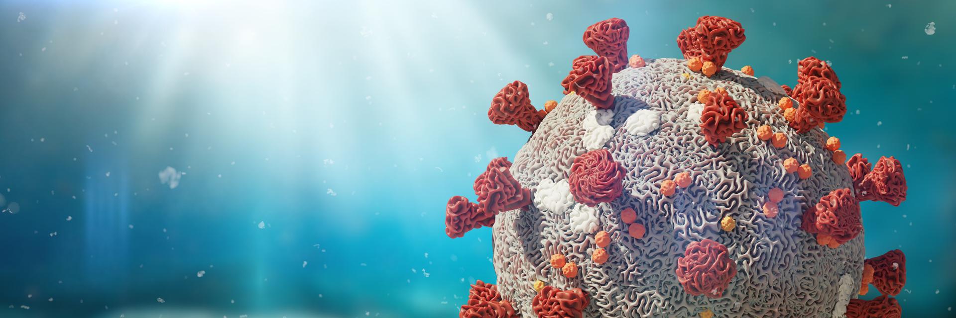 Covid-19 : une infection antérieure à un coronavirus réduirait la ...
