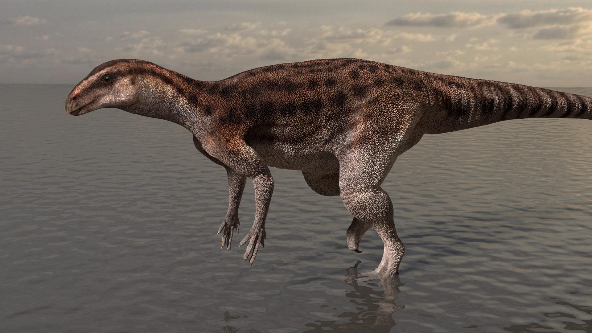 Cette appli pourrait faire de vous le prochain découvreur de dinosaures !