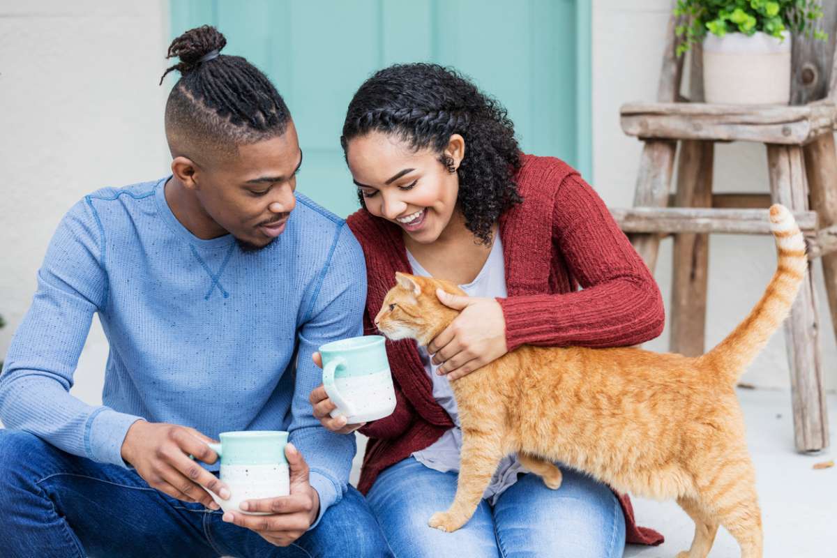 Le chat plus important que le conjoint ? Ce que disent vraiment les études va vous étonner