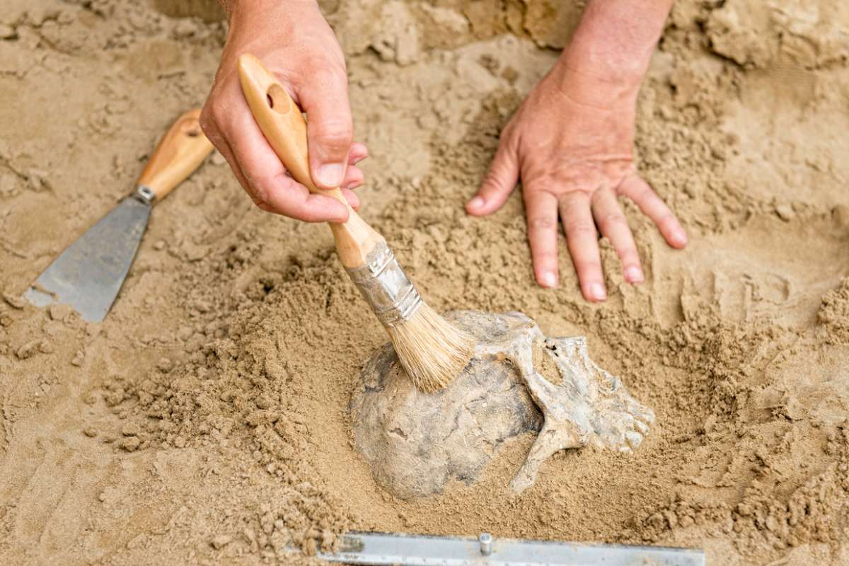 Des archéologues découvrent en Chine des crânes humains transformés en objets rituels il y a plus de 4 000 ans