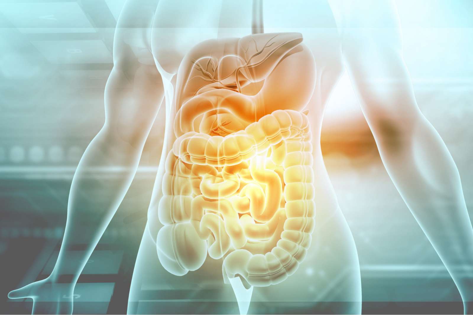 « On ne s’y attendait pas » : des bactéries intestinales face à la maladie d’Alzheimer