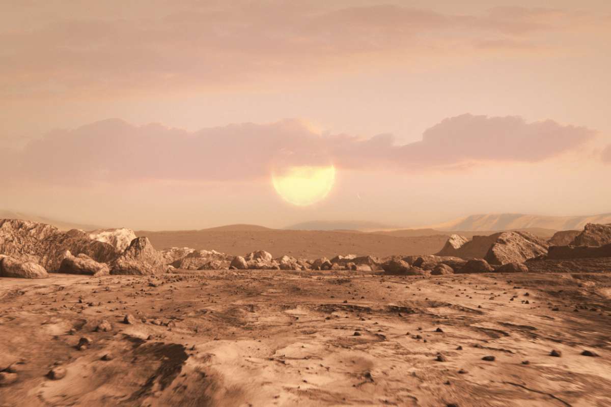Ces créatures survivent à tout... sauf à Mars : cette expérience intrigue les scientifiques