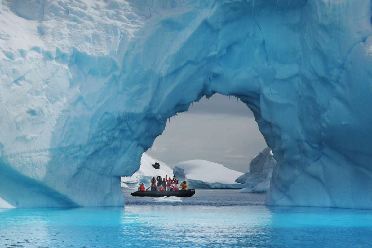 Sous la glace de l'Antarctique, des milliers de nids parfaitement organisés intriguent les scientifiques