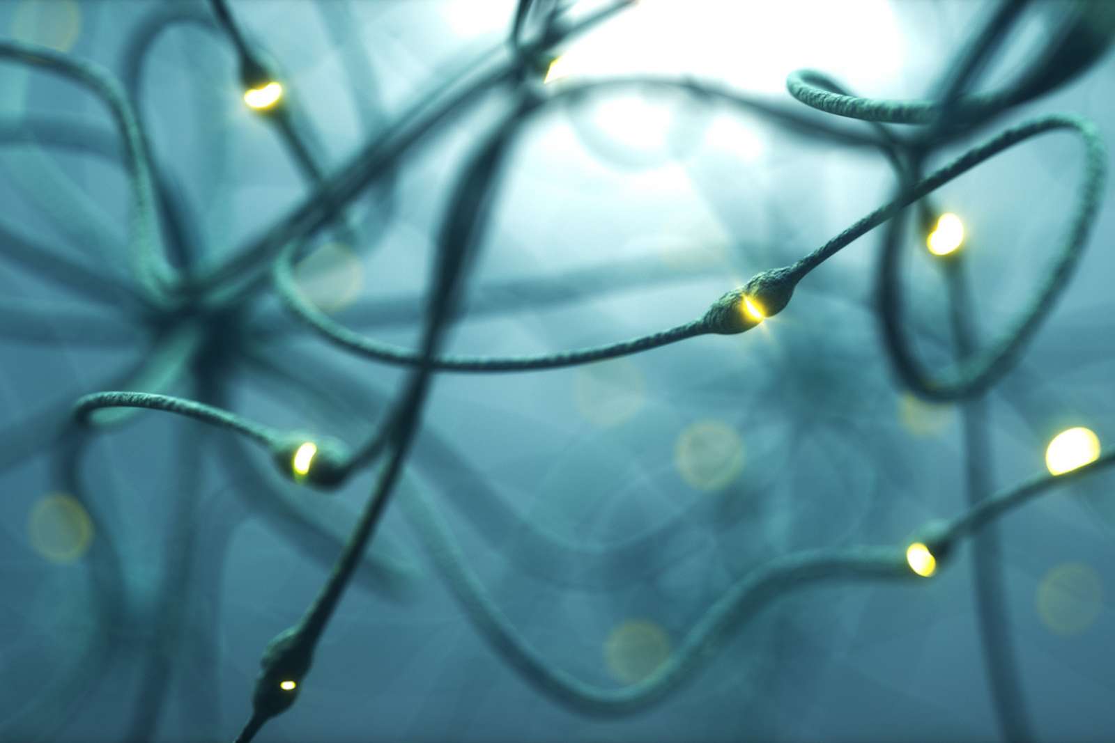 Alzheimer : ce médicament expérimental fait resurgir des souvenirs oubliés depuis des années