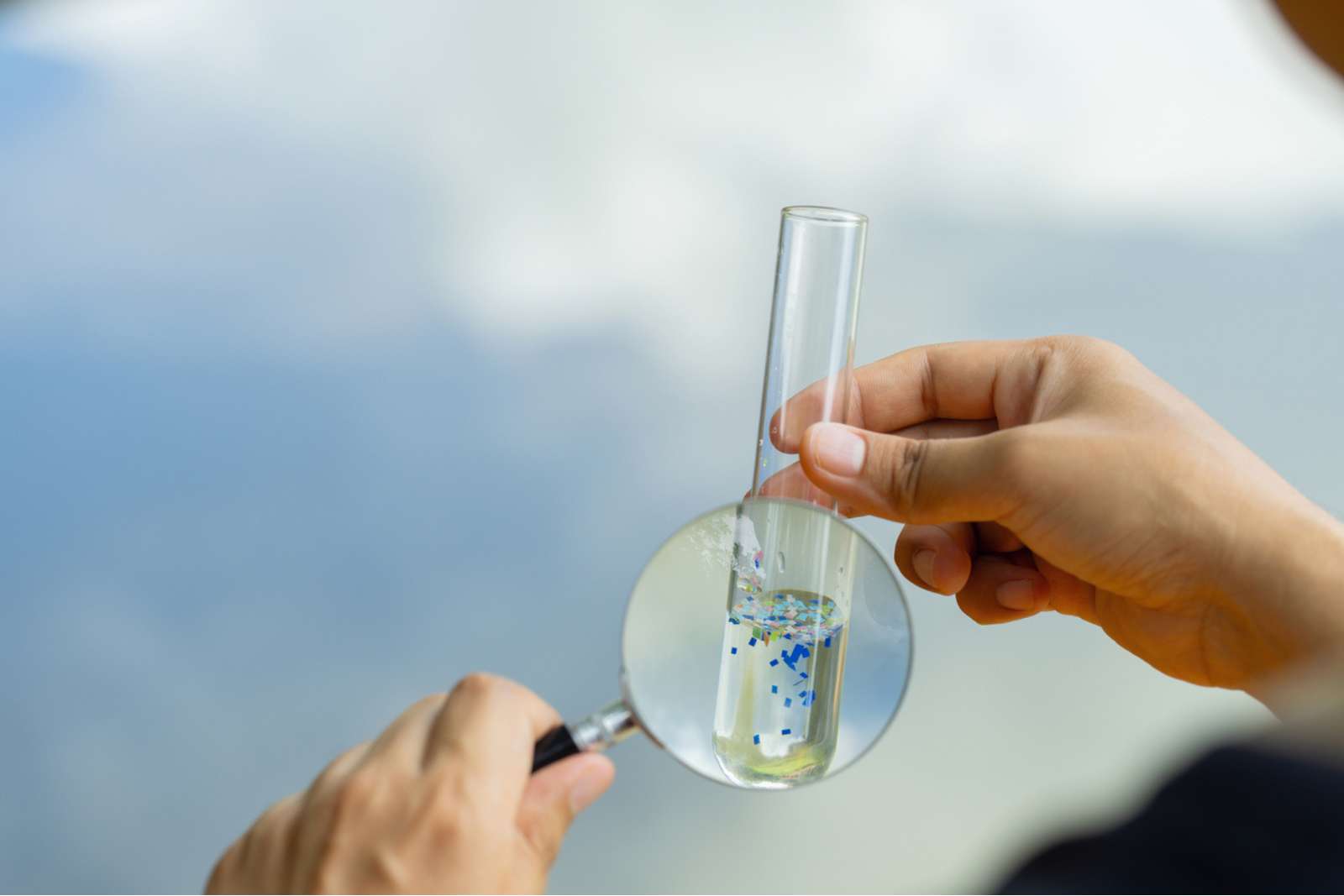 « Nous pensions qu’ils seraient éliminés » : les microplastiques perturbent nos défenses immunitaires