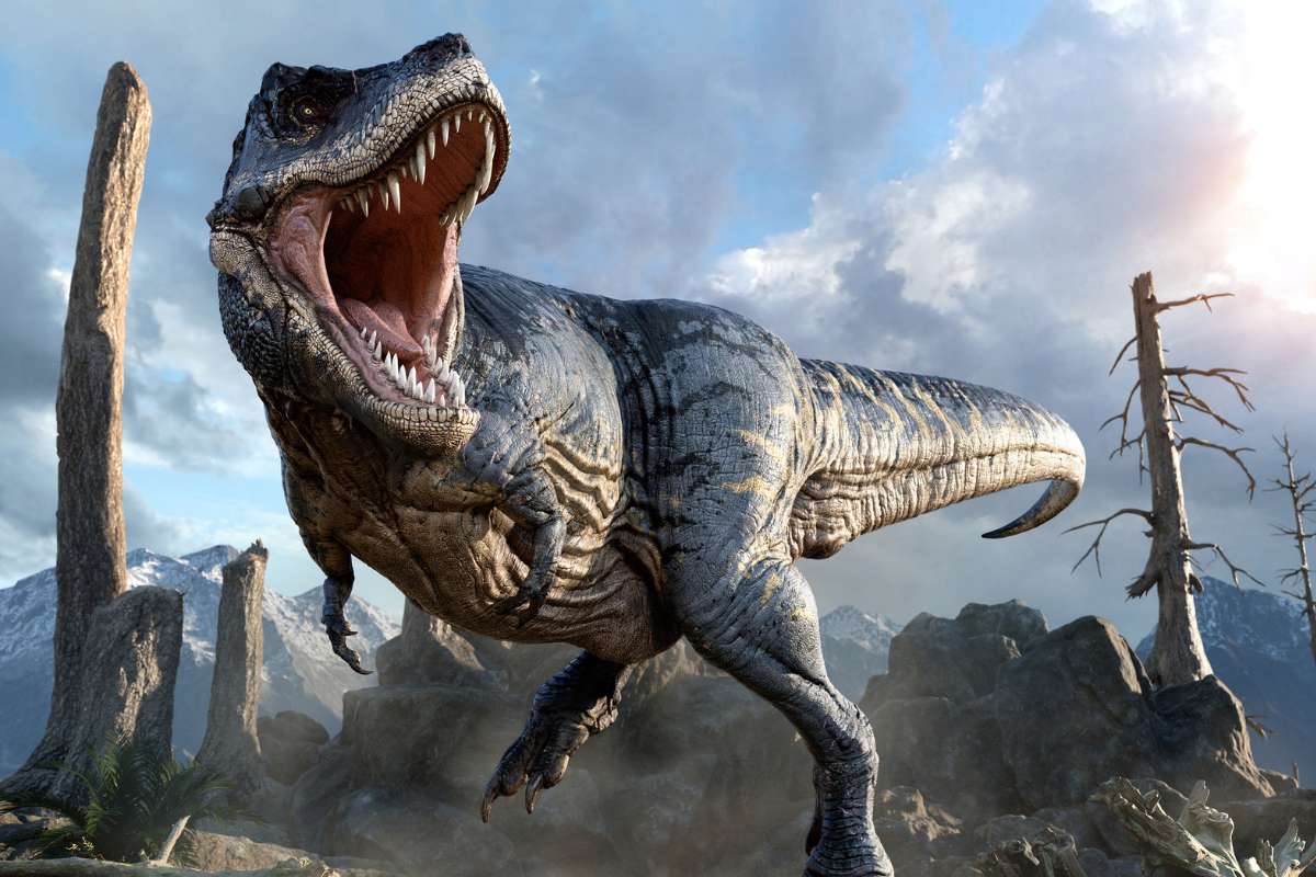 Mi-primitif, mi-géant : cette créature découverte en Chine pourrait changer ce que l’on sait sur les dinosaures