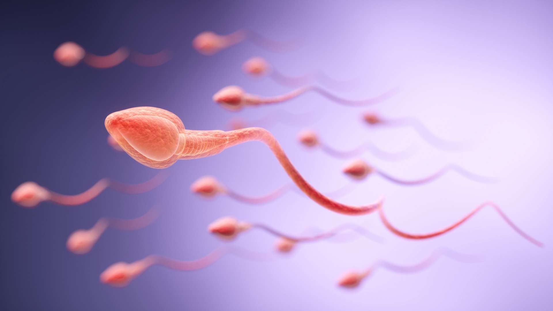 La fertilité masculine change au fil des saisons : ce que révèle une grande étude internationale
