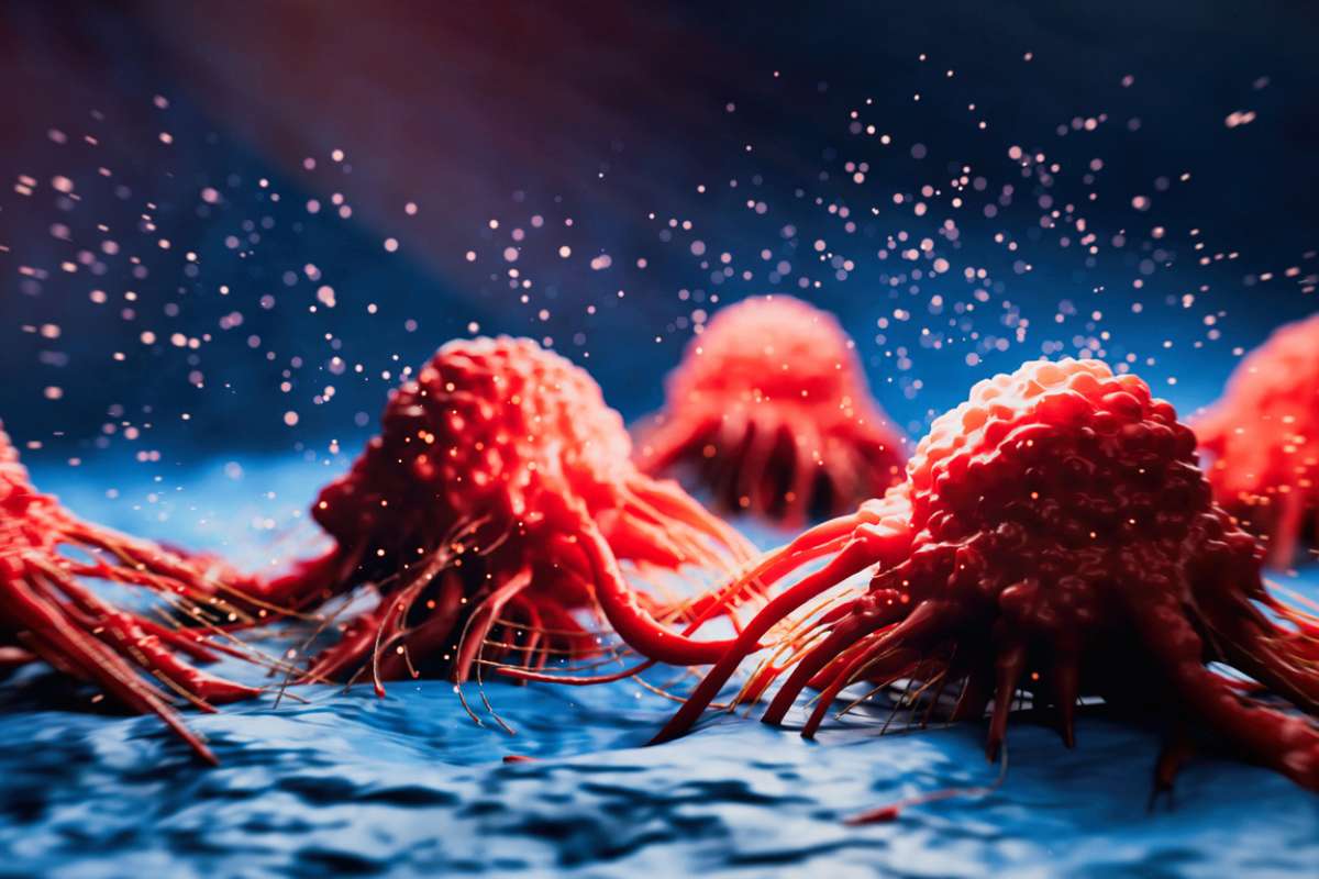 La science découvre pourquoi cette molécule anti-âge pourrait aussi favoriser le cancer