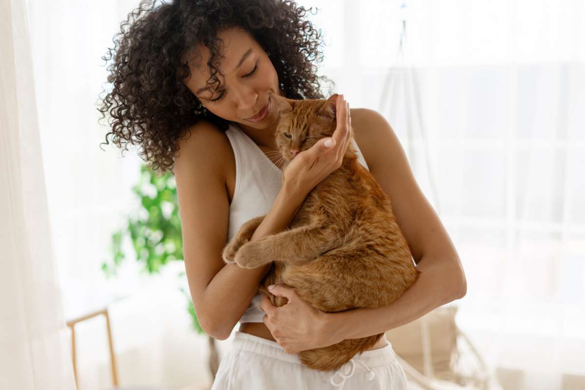 Voici dans quelle catégorie votre chat vous classe selon un spécialiste de l'éthologie féline
