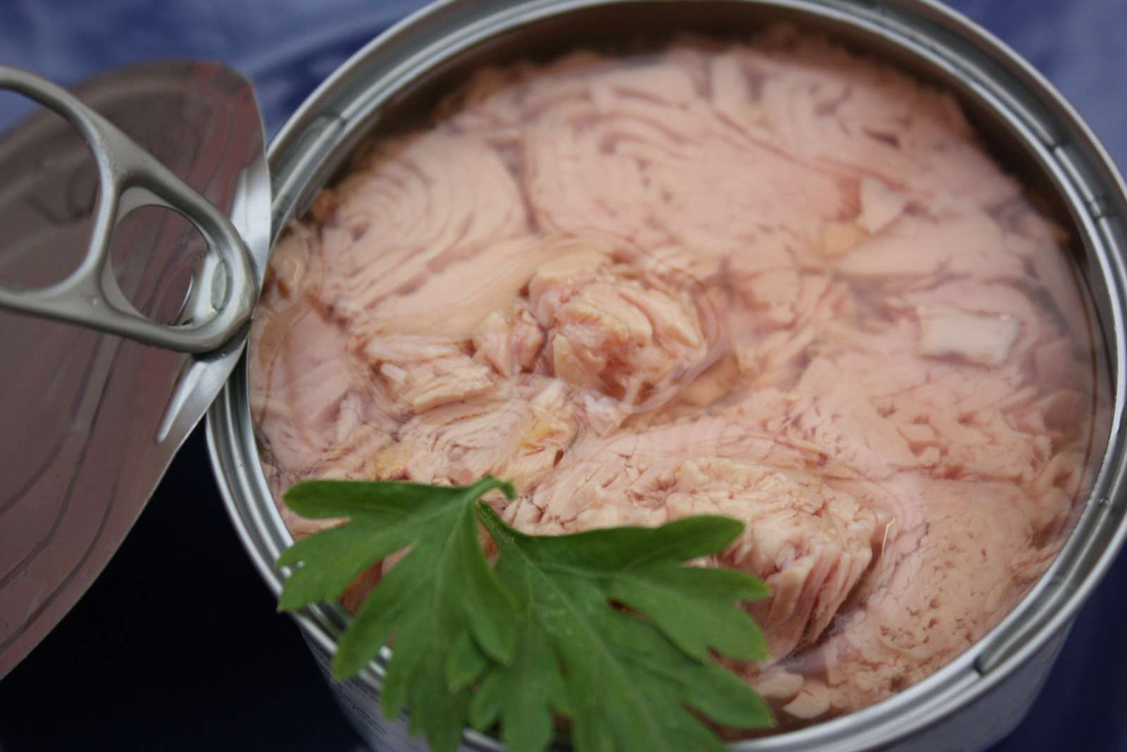 Cette solution naturelle capte le mercure du thon… et change tout pour votre santé